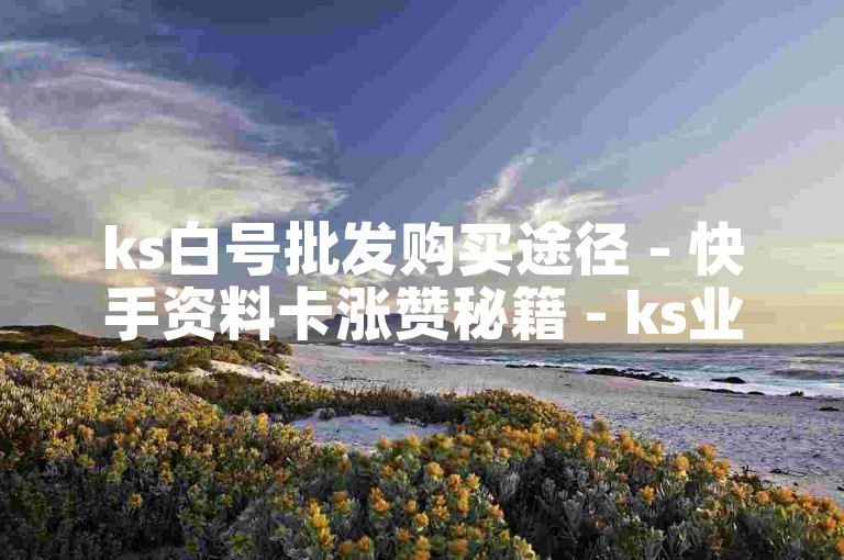 ks白号批发购买途径 - 快手资料卡涨赞秘籍 - ks业务低价平台 - 超实惠卡盟