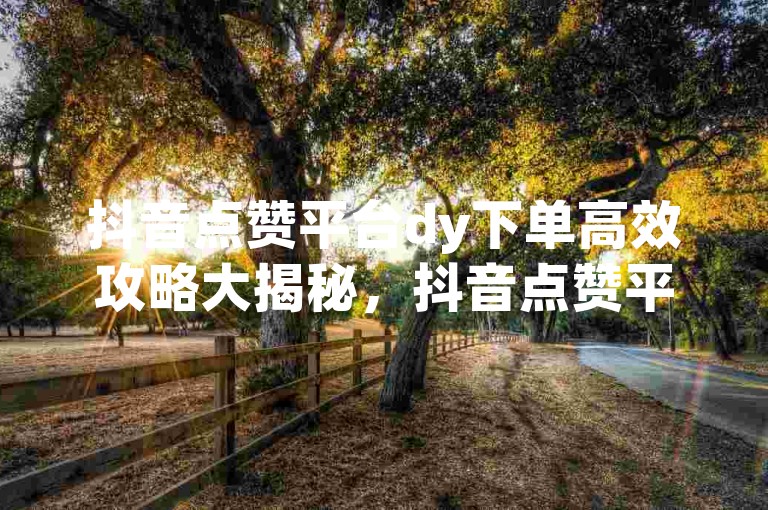 抖音点赞平台dy下单高效攻略大揭秘，抖音点赞平台下单方法高效增强互动效果！2024必备