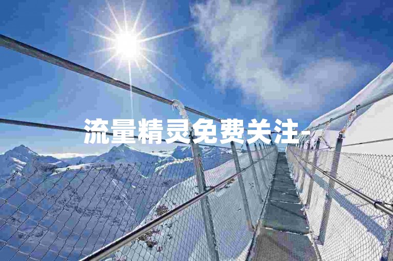 流量精灵免费关注-