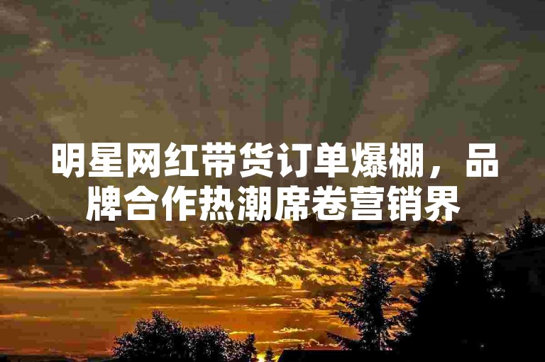 明星网红带货订单爆棚，品牌合作热潮席卷营销界