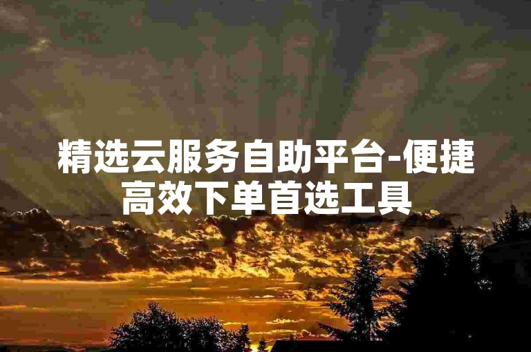 精选云服务自助平台-便捷高效下单首选工具