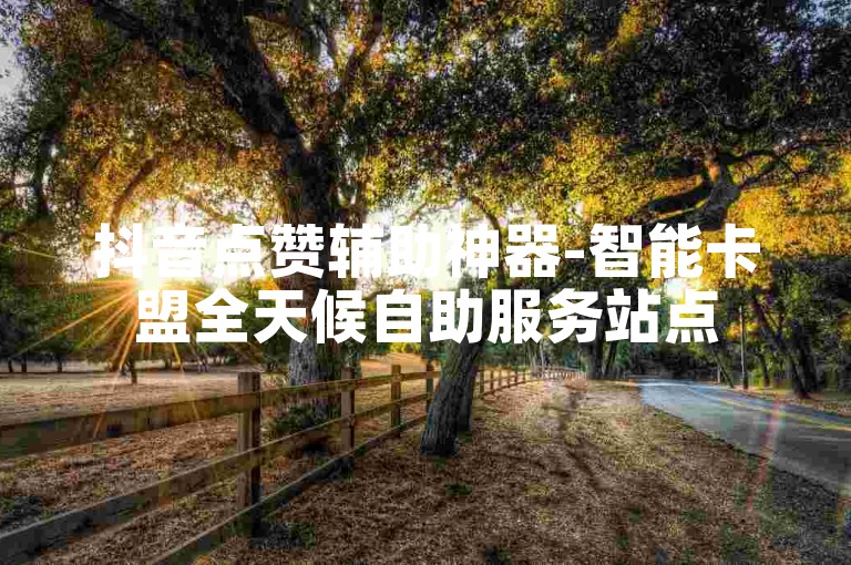 抖音点赞辅助神器-智能卡盟全天候自助服务站点