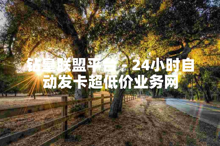钻皇联盟平台 - 24小时自动发卡超低价业务网