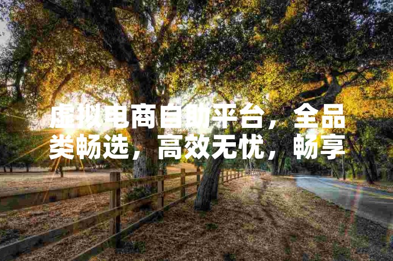 虚拟电商自助平台，全品类畅选，高效无忧，畅享品质购物之旅