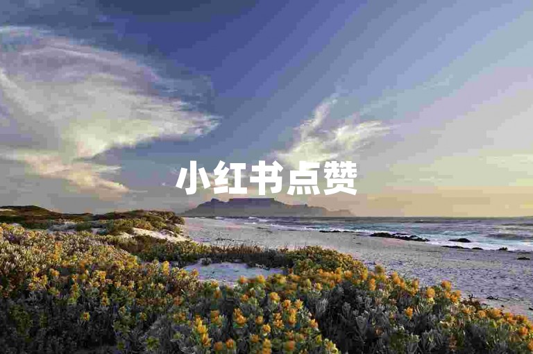 小红书点赞5毛100个活粉-快手金币兑换攻略安卓版