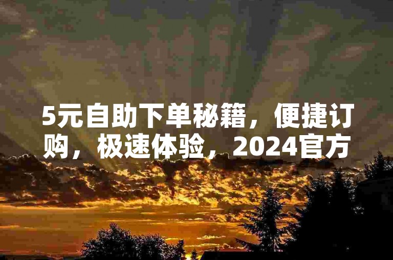 5元自助下单秘籍，便捷订购，极速体验，2024官方力荐平台！