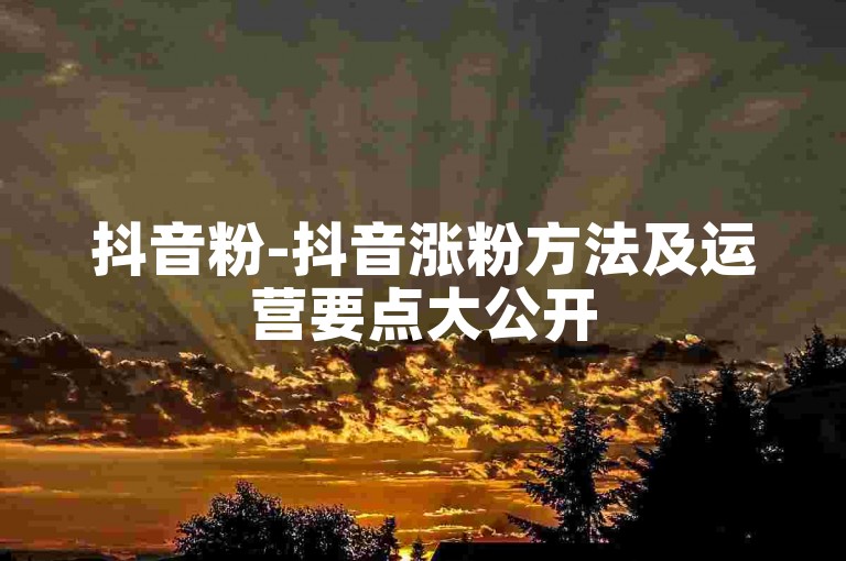 抖音粉-抖音涨粉方法及运营要点大公开