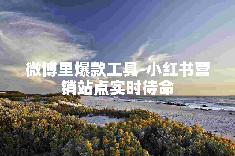 微博里爆款工具-小红书营销站点实时待命