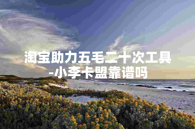 淘宝助力五毛二十次工具-小李卡盟靠谱吗