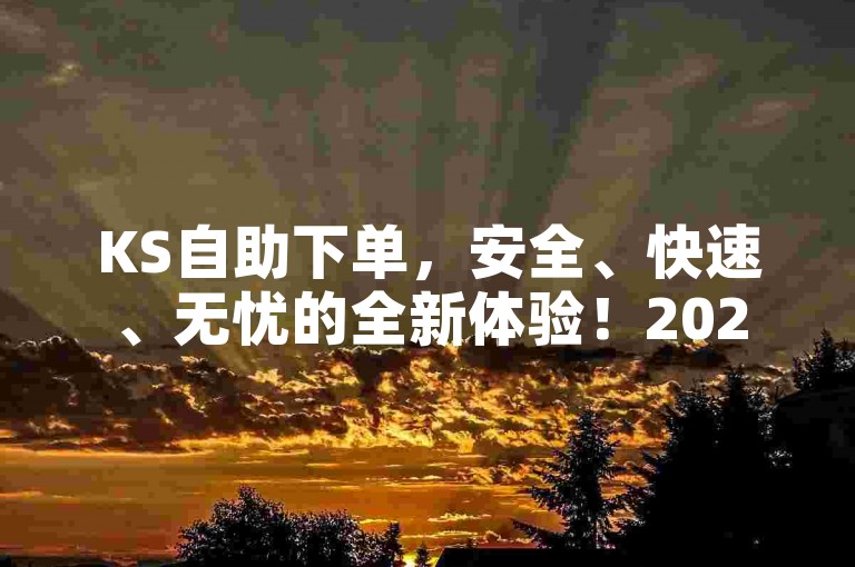 KS自助下单，安全、快速、无忧的全新体验！2025必备-