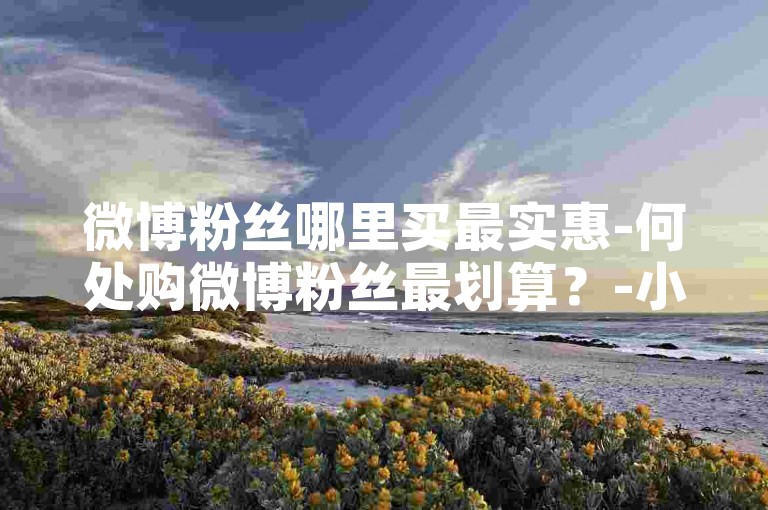 微博粉丝哪里买最实惠-何处购微博粉丝最划算？-小红书免费千粉攻略-24小时下单要点别错过！