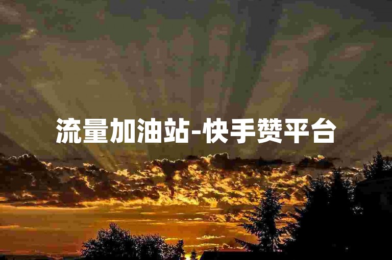 流量加油站-快手赞平台