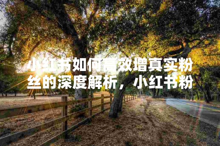 小红书如何高效增真实粉丝的深度解析，小红书粉丝激增技巧，实用策略全揭秘！2025必备