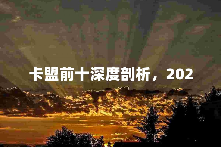 卡盟前十深度剖析，2025热门卡盟排行及业务要点揭秘