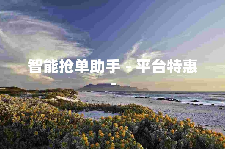 智能抢单助手 - 平台特惠-