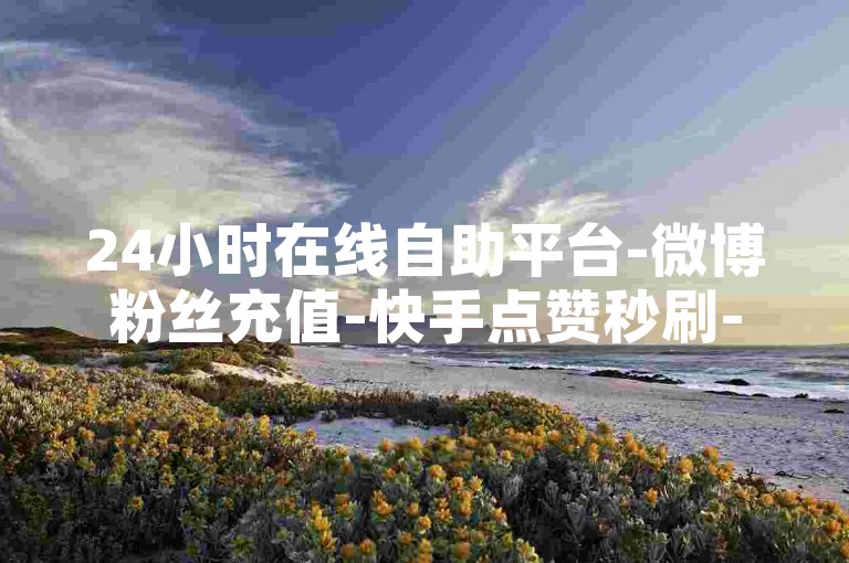 24小时在线自助平台-微博粉丝充值-快手点赞秒刷-小红书业务