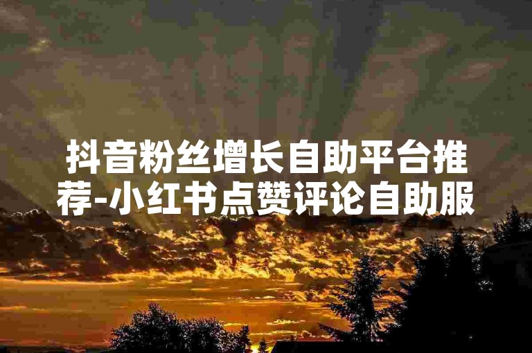 抖音粉丝增长自助平台推荐-小红书点赞评论自助服务