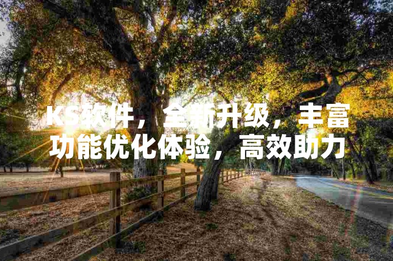 KS软件，全新升级，丰富功能优化体验，高效助力工作进程