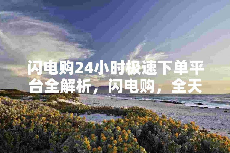 闪电购24小时极速下单平台全解析，闪电购，全天候秒单服务，助您轻松购得心仪好物！