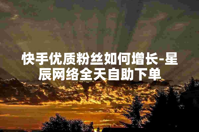 快手优质粉丝如何增长-星辰网络全天自助下单