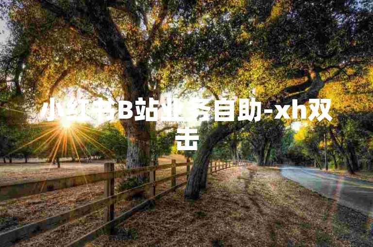 小红书B站业务自助-xh双击