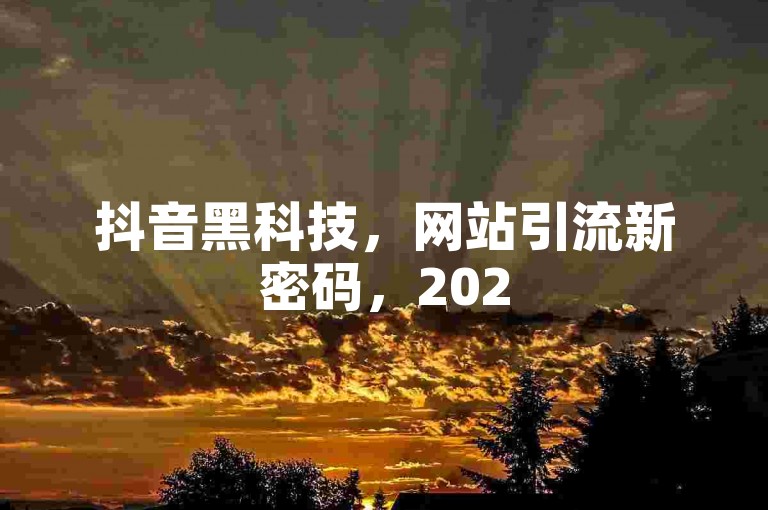 抖音黑科技，网站引流新密码，2025爆款打造必备！