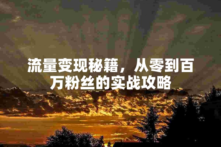 流量变现秘籍，从零到百万粉丝的实战攻略