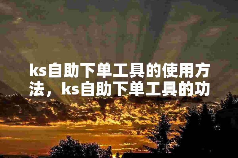ks自助下单工具的使用方法，ks自助下单工具的功能特点与使用场景！新手必看！