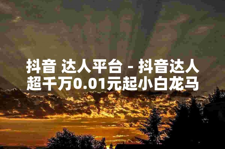 抖音 达人平台 - 抖音达人超千万0.01元起小白龙马山家居装修网