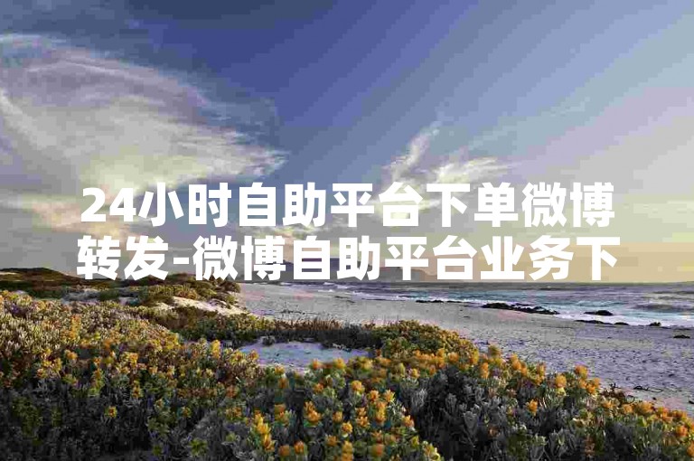 24小时自助平台下单微博转发-微博自助平台业务下单真人