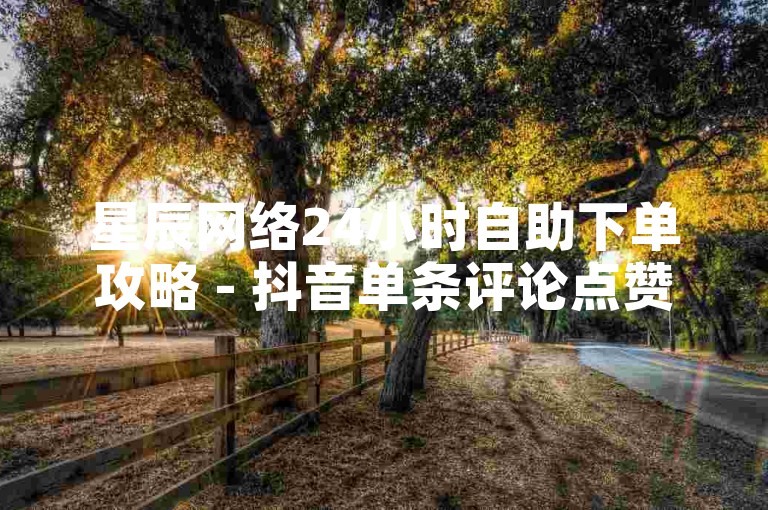 星辰网络24小时自助下单攻略 - 抖音单条评论点赞收费明细？
