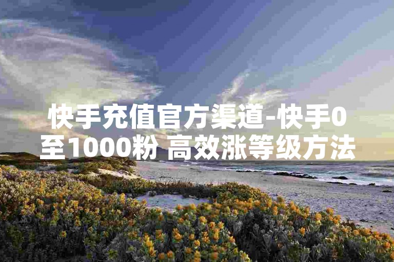 快手充值官方渠道-快手0至1000粉 高效涨等级方法