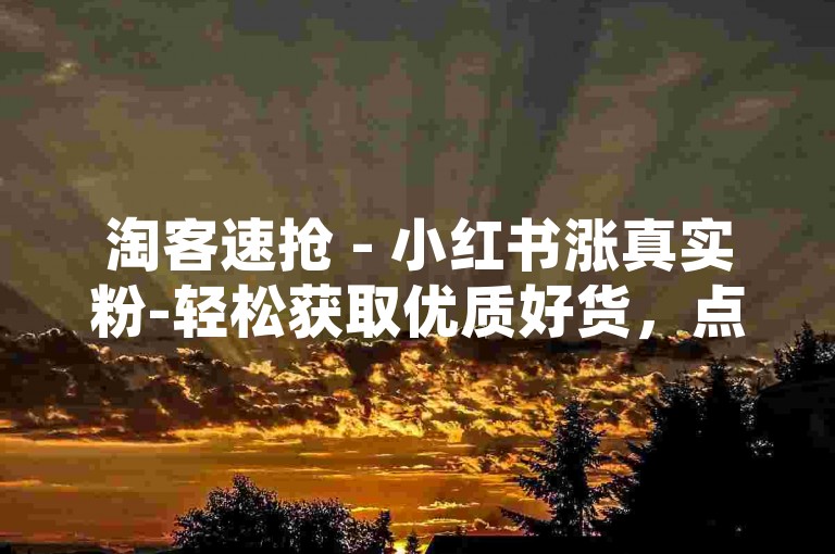 淘客速抢 - 小红书涨真实粉-轻松获取优质好货，点赞优惠妙法！