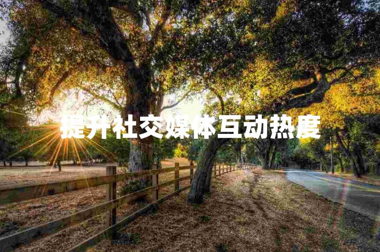 提升社交媒体互动热度