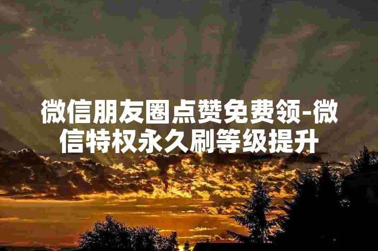微信朋友圈点赞免费领-微信特权永久刷等级提升