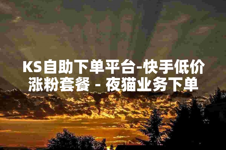 KS自助下单平台-快手低价涨粉套餐 - 夜猫业务下单中心 - 钻卡联盟官网入口