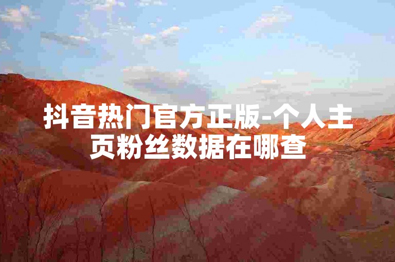 抖音热门官方正版-个人主页粉丝数据在哪查