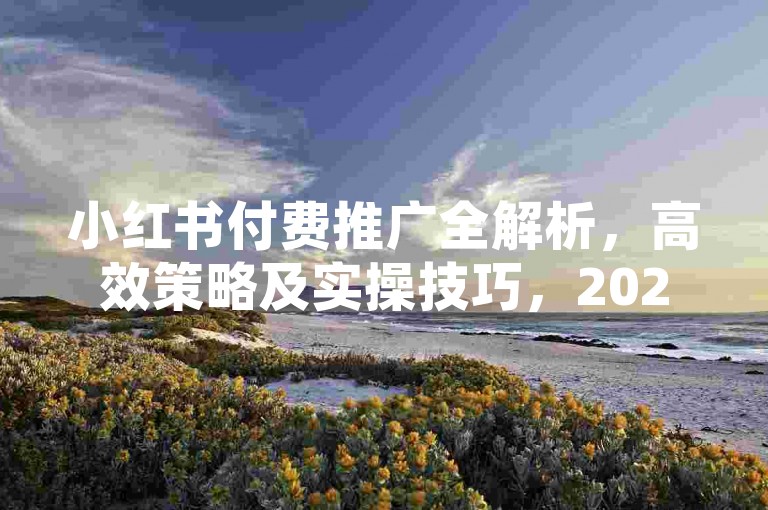 小红书付费推广全解析，高效策略及实操技巧，2024必备！