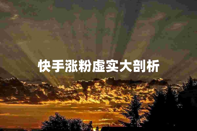快手涨粉虚实大剖析