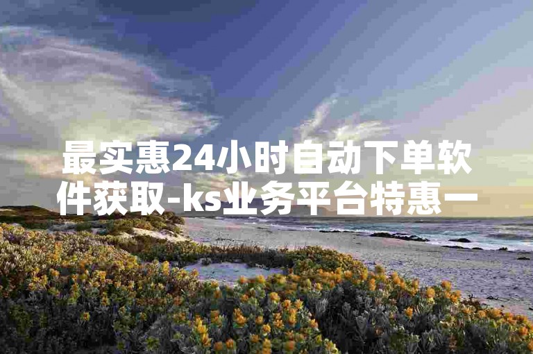 最实惠24小时自动下单软件获取-ks业务平台特惠一元起