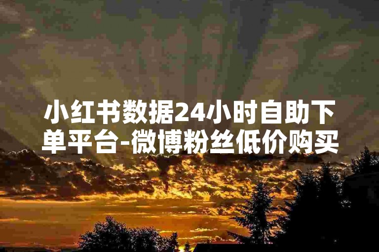 小红书数据24小时自助下单平台-微博粉丝低价购买-拼多多砍价助力平台-高效实惠