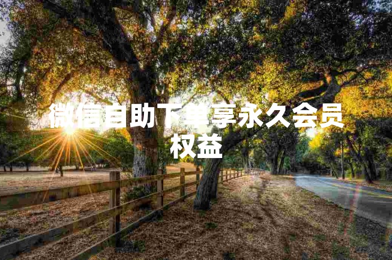 微信自助下单享永久会员权益