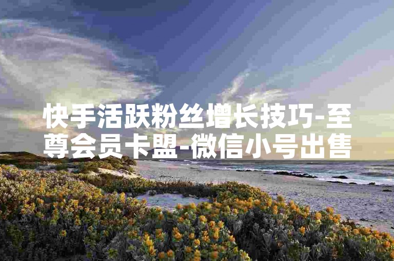 快手活跃粉丝增长技巧-至尊会员卡盟-微信小号出售-Ks代认证平台