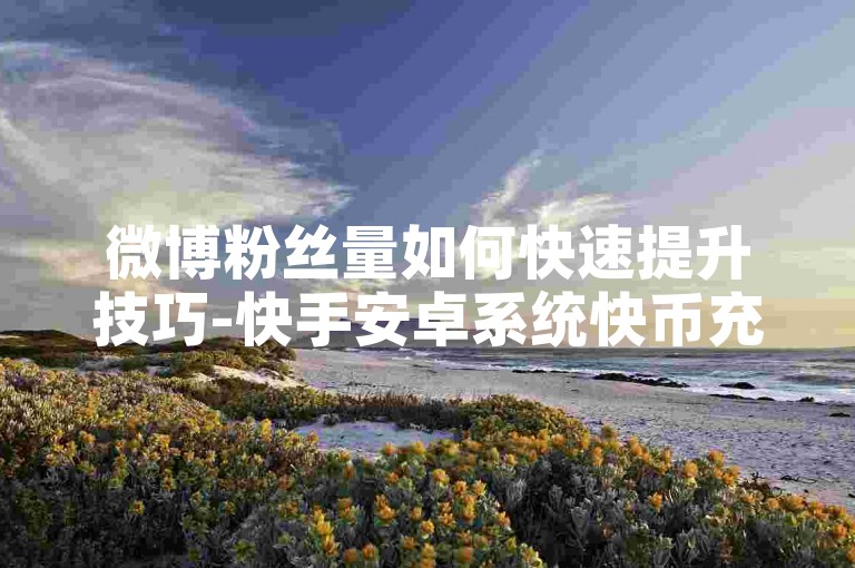 微博粉丝量如何快速提升技巧-快手安卓系统快币充值方法