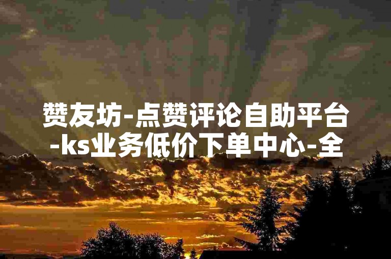 赞友坊-点赞评论自助平台-ks业务低价下单中心-全天候自助服务商城