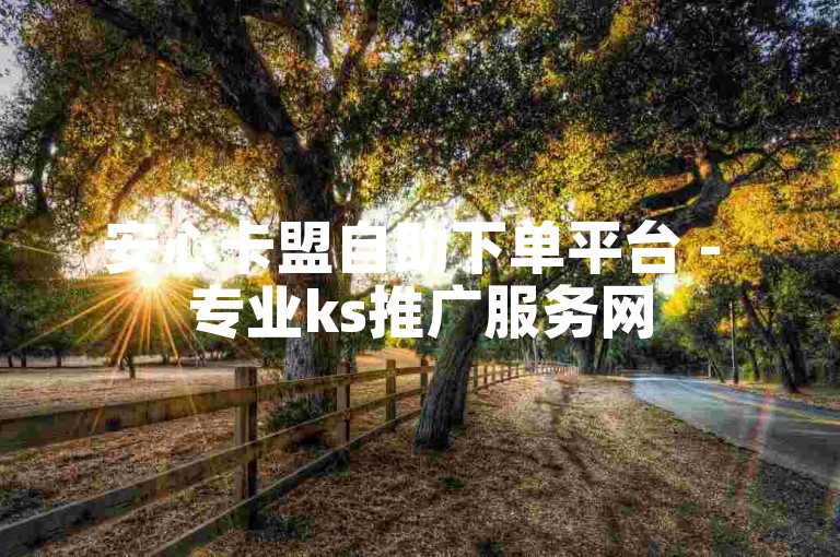 安心卡盟自助下单平台 - 专业ks推广服务网