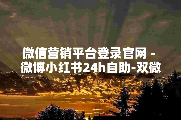 微信营销平台登录官网 - 微博小红书24h自助-双微自助推广，助力品牌传播，快速涨粉！
