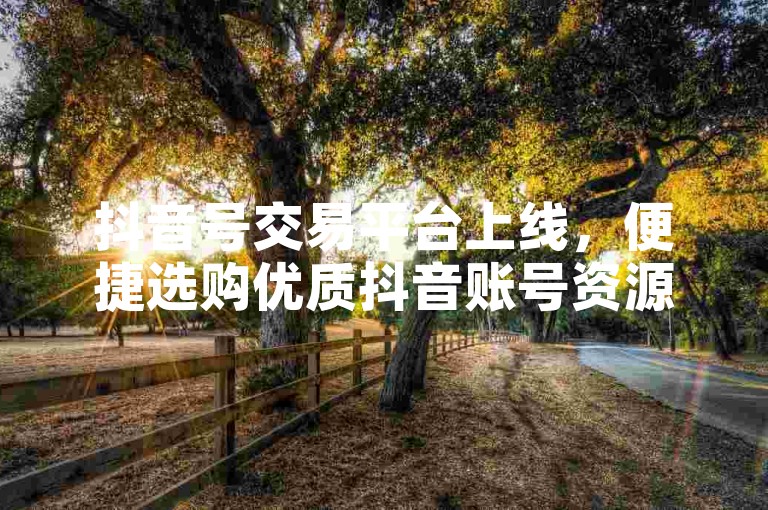 抖音号交易平台上线，便捷选购优质抖音账号资源