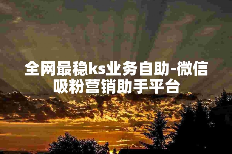 全网最稳ks业务自助-微信吸粉营销助手平台
