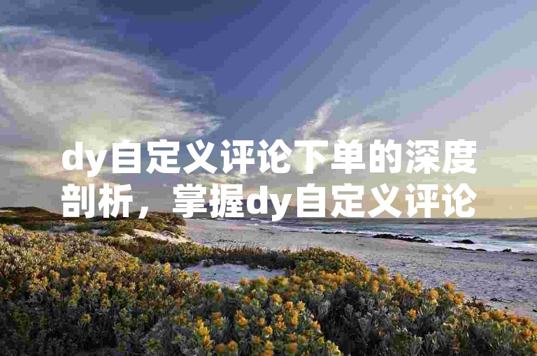 dy自定义评论下单的深度剖析，掌握dy自定义评论下单，提升网站流量秘籍！2025必备